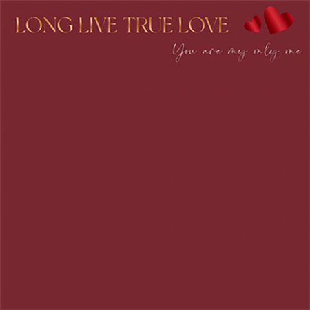 Калька "Long Live True Love" (20л.) - #04 Бордо